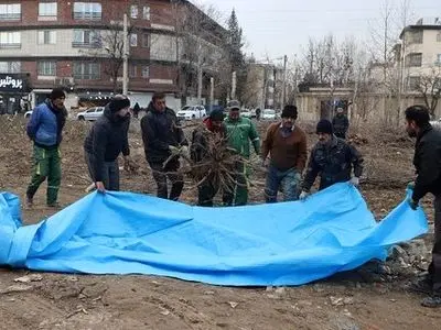 طرح جابجایی و بازکاشت درختان کمربندی مهرشهر اجرا شد/ نجات درختان کهن در مسیر توسعه