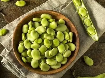 راه و روش‌های خشک کردن باقالی سبز