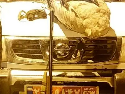 بازداشت دو متخلف شکار غیرمجاز در پارک ملی بختگان