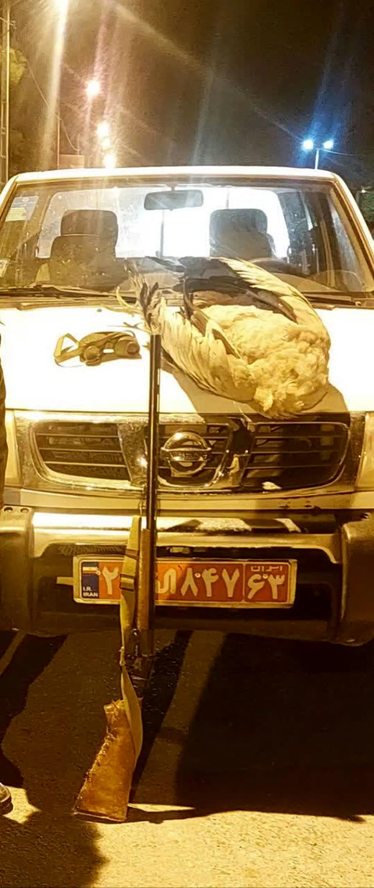 بازداشت دو متخلف شکار غیرمجاز در پارک ملی بختگان