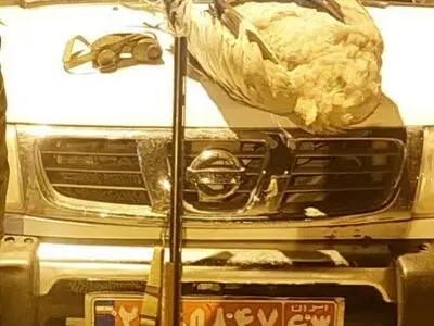 بازداشت دو متخلف شکار غیرمجاز در پارک ملی بختگان