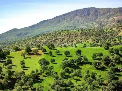 شهرستان دیواندره دارای۲۴۰ هزار هکتار اراضی ملی است‌