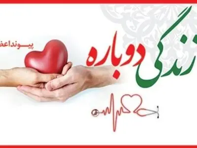 اهدای عضو جوان 31 ساله نکایی به بیماران جان دوباره بخشید