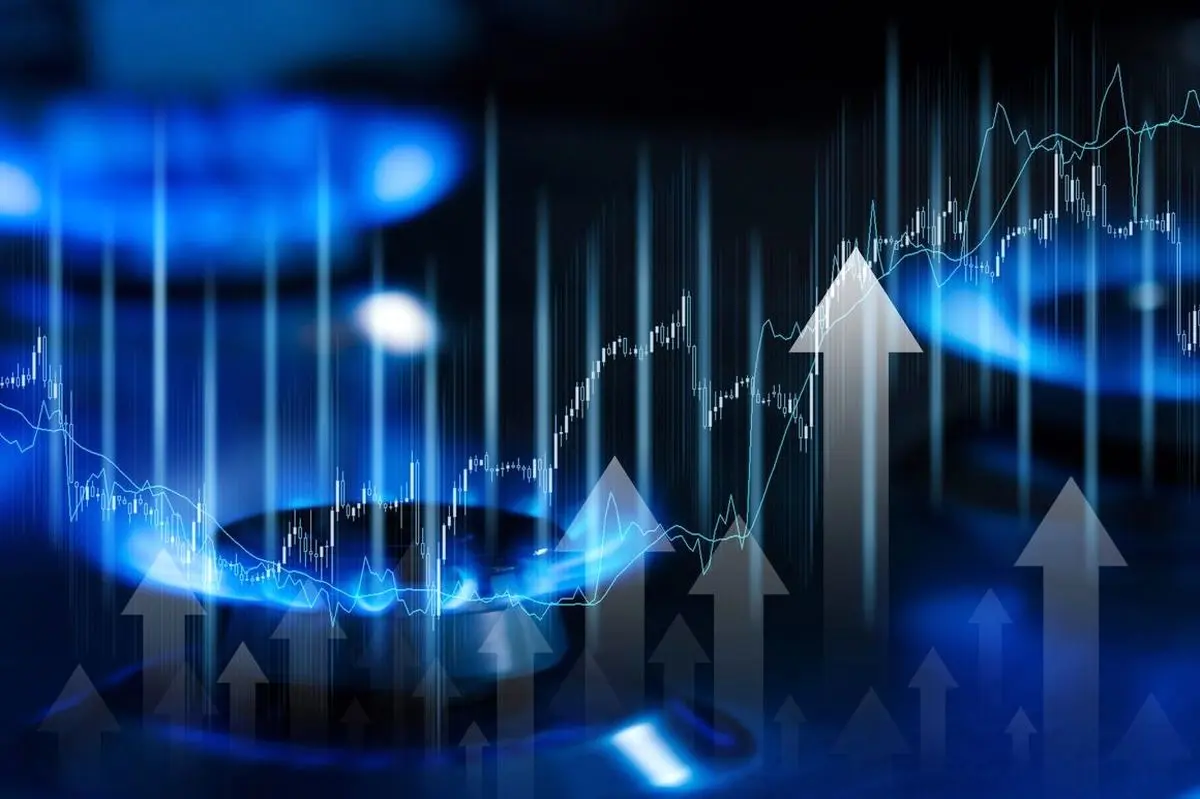 مصرف ۴.۴۹۰ میلیارد مترمکعب گاز در بخش خانگی در هفته سوم دی