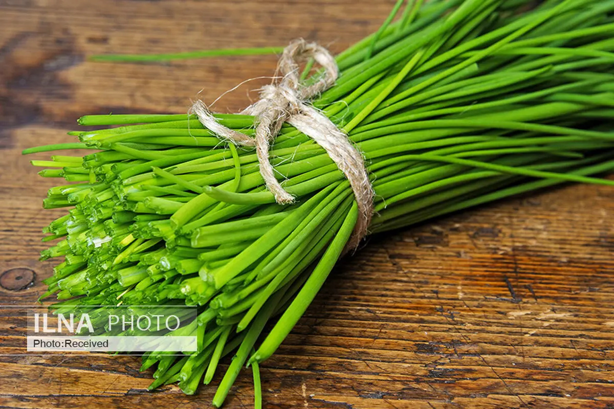 از خواص سبزی تره چه می‌دانید؟