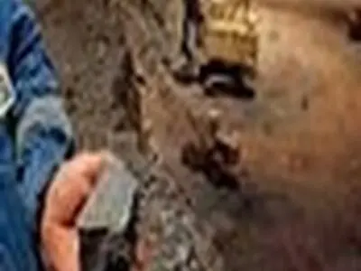 سال ۹۳ زمان شکوفایی معادن استان البرز است