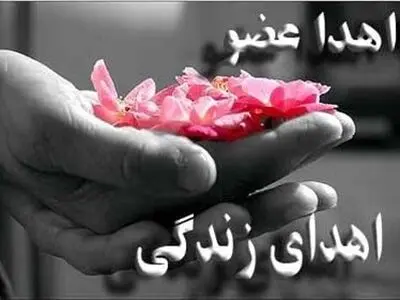 دانش آموز یاسوجی جان پنج نفر را نجات داد