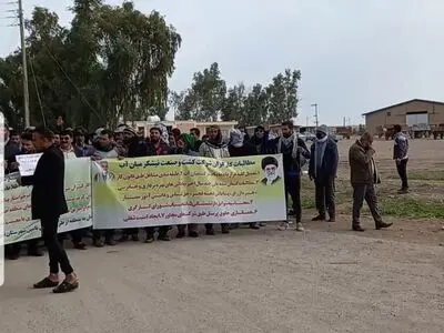 اعتراض کارگران «کشت و صنعت میاناب» به نبود امنیت شغلی/ اعزام نماینده فرمانداری شوش 