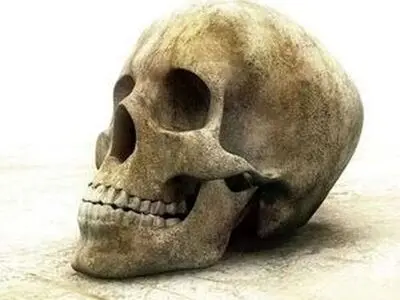 ماجرای پیدا کردن جمجمه انسان درشمال تهران توسط کارکنان اداره برق