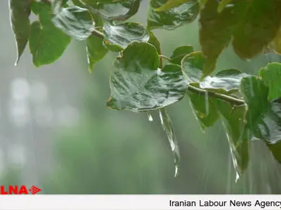 نخستین روز سال نو بارانی خواهد بود