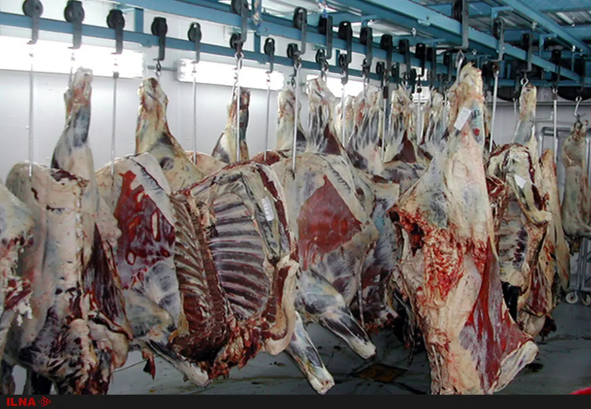افزایش 40 درصدی قیمت گوشت گاوی نسبت به سال 96