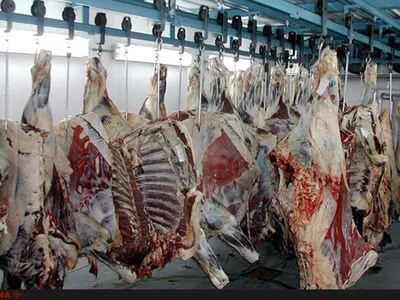 رسیدگی به پرونده تقلب در فروش گوشت گاو و گوساله غیر بهداشتی در اصفهان