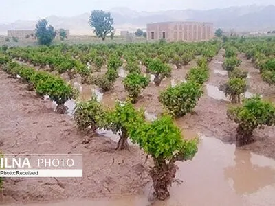 خسارت ۱۸۴ میلیارد تومانی انواع بلایای طبیعی طی یک سال اخیر در شهرستان اهر 