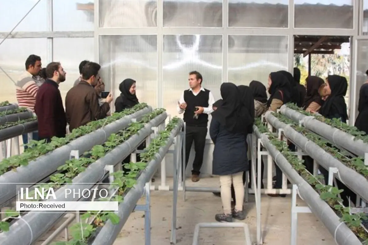 دوره‌های آموزش کشاورزی برای مددجویان بهزیستی البرز برگزار می شود