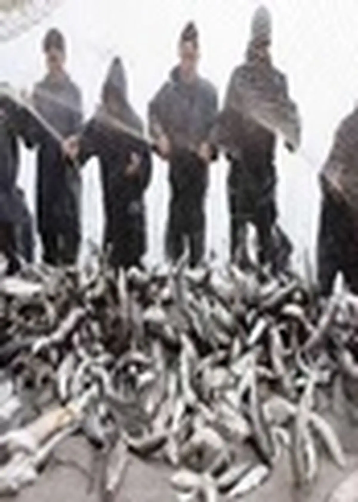 صید ماهیان استخوانی در مازندران آغاز شد
