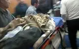 خوزستان دومین استان کشور از نظر تعداد مجروحان جنگ رمضان بود