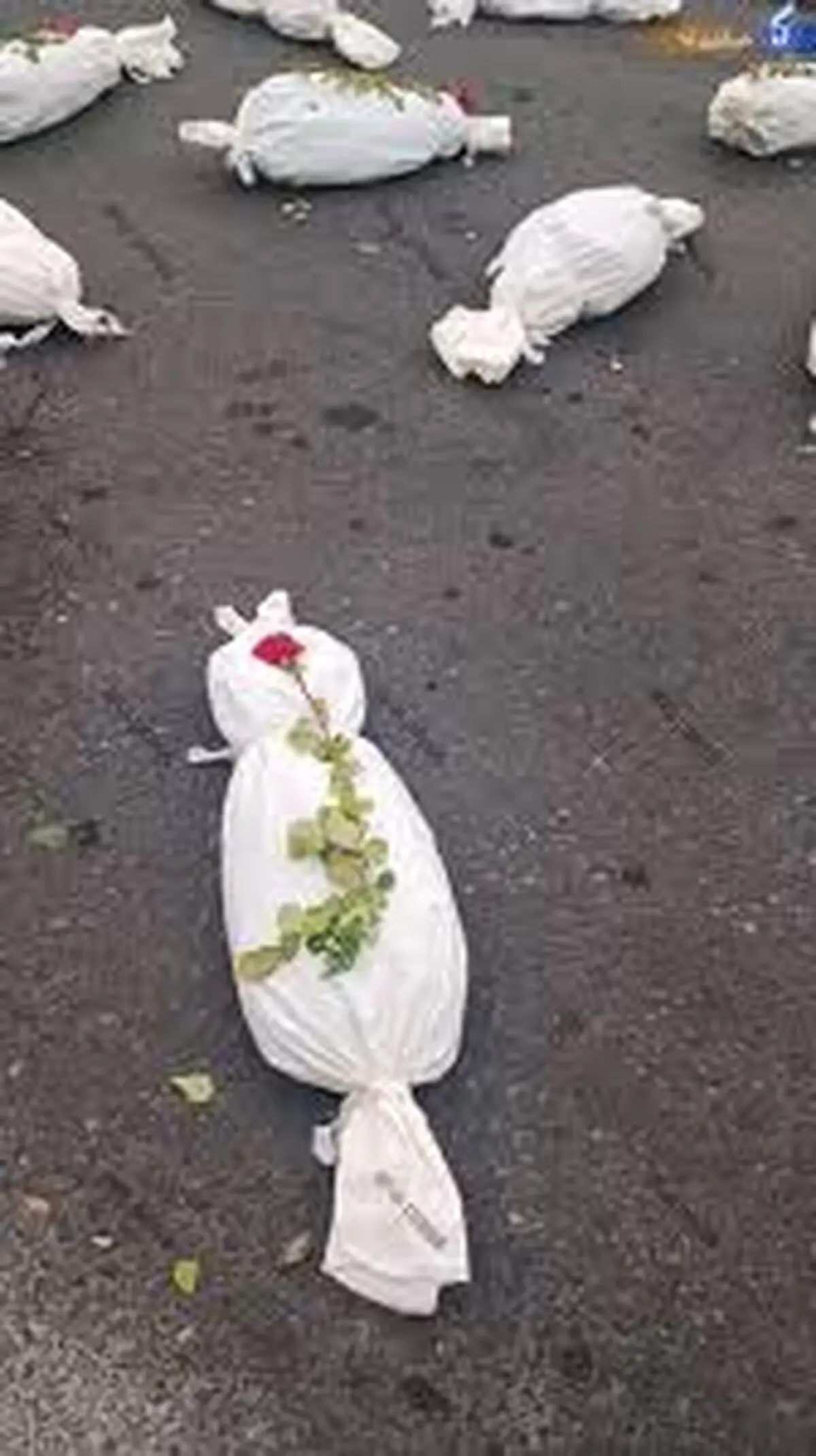  بجای نان، دو کامیون کفن وارد غزه شد!