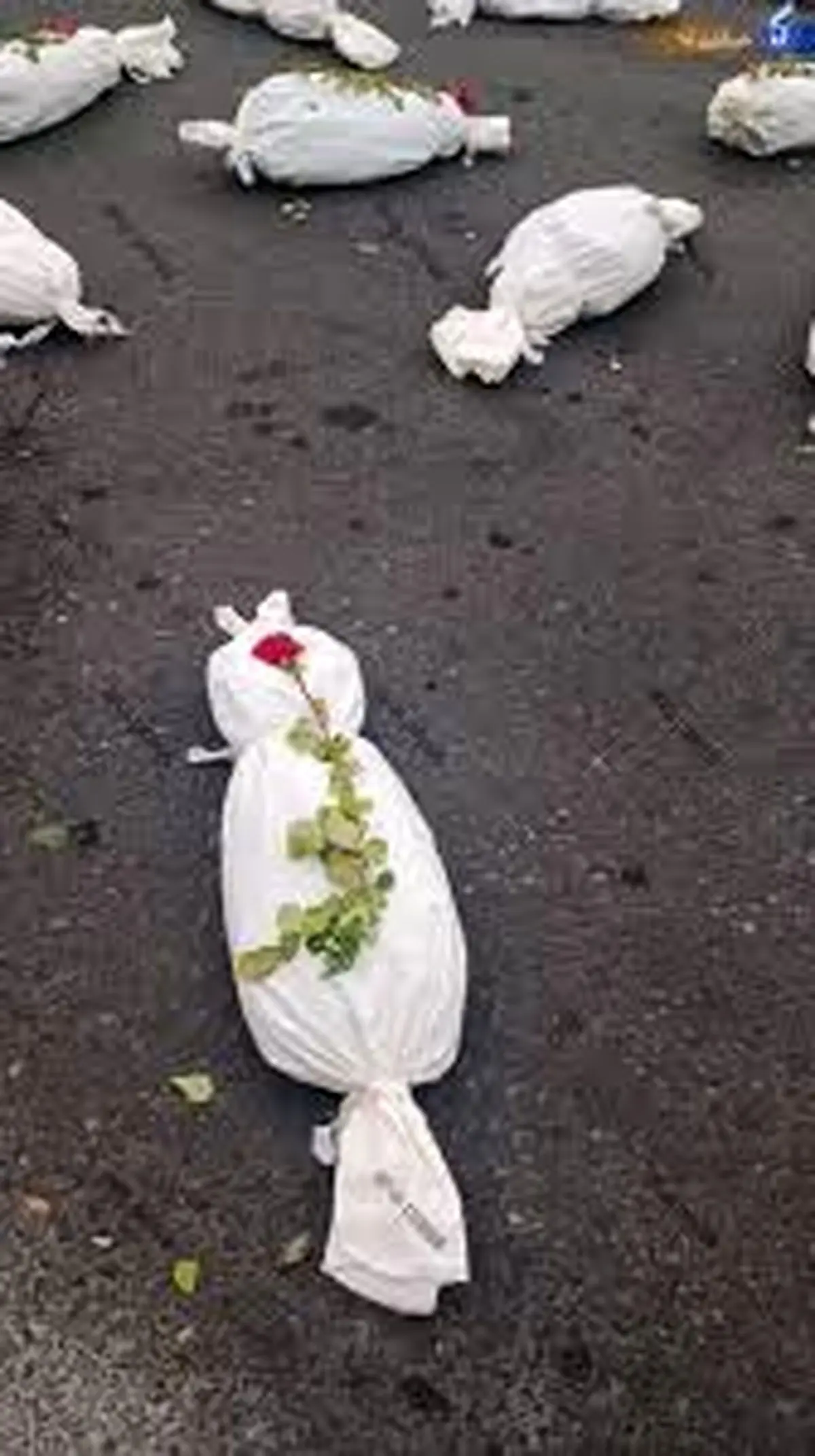 بجای نان، دو کامیون کفن وارد غزه شد!
