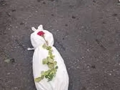  بجای نان، دو کامیون کفن وارد غزه شد!