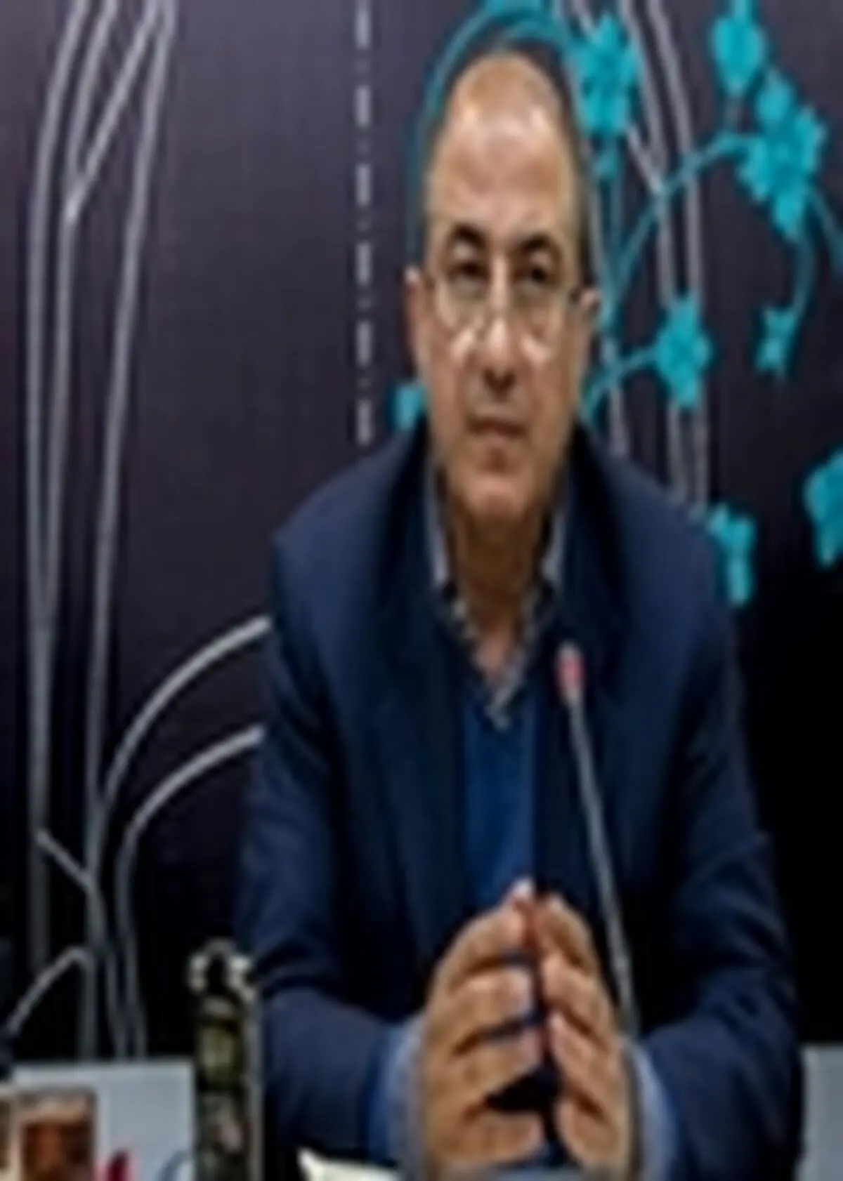 برنامه های صنعت خودروی کشور ارایه می شود