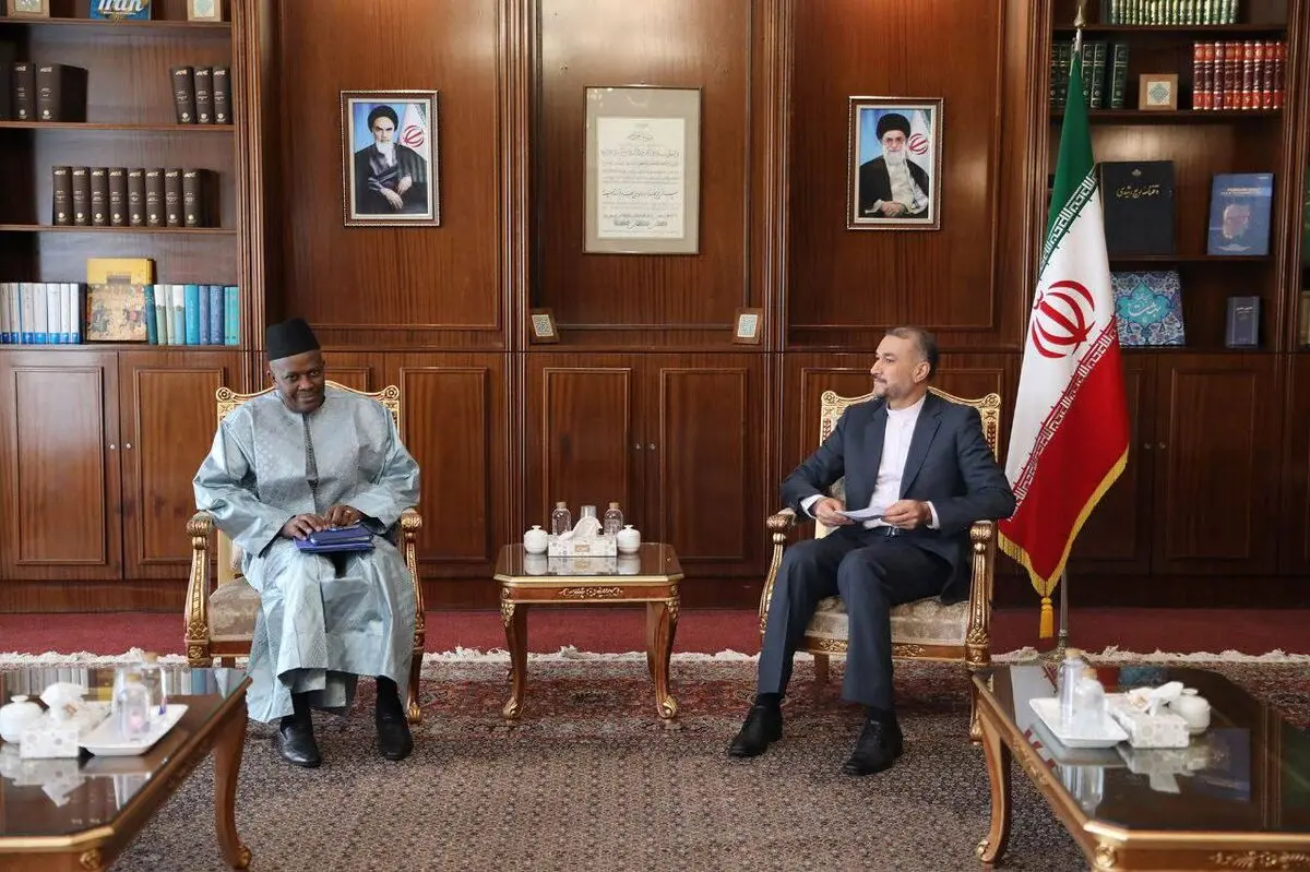 سفیر جدید مالی رونوشت استوارنامه خود را تسلیم امیرعبداللهیان کرد