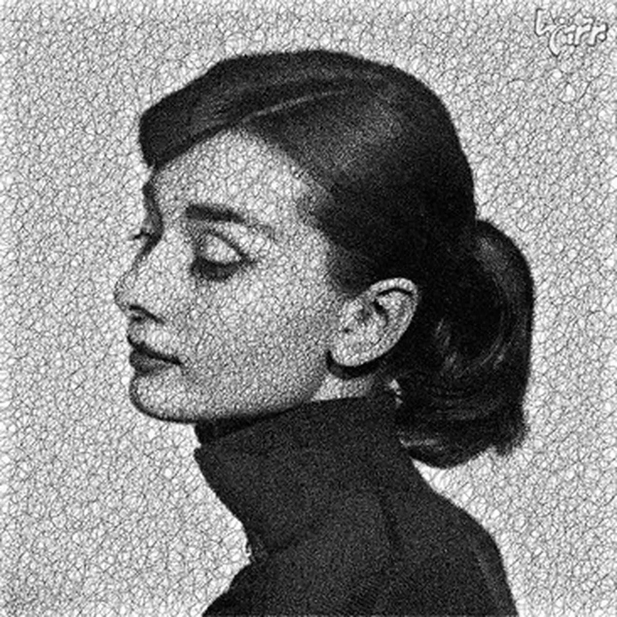 پرتره‌هایی که فقط با یک خط کشیده شده‌اند/تصاویر