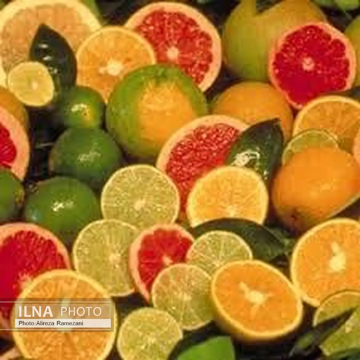 افزایش قیمت لیمو شیرین در بازار