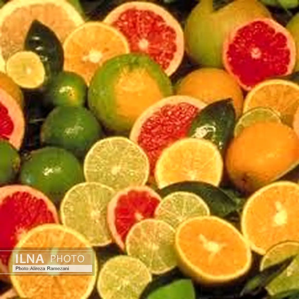 افزایش قیمت لیمو شیرین در بازار