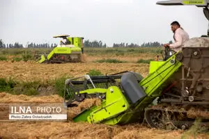 آمادگی کامل فارس برای فصل برداشت گندم