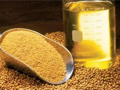 آغاز ثبت سفارش دانه‌های روغنی