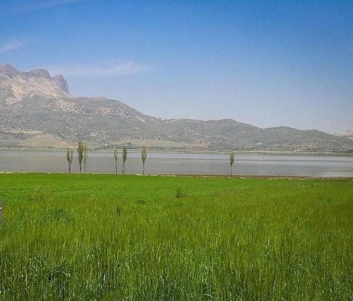  سند تک برگ تالاب ارژن صادر شد