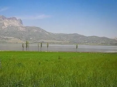  سند تک برگ تالاب ارژن صادر شد