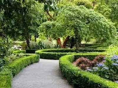 خریداری باغات بزرگ یزد فعالیت دو سر برد اقتصادی است / استفاده عموم مردم از باغ های شهر جهانی