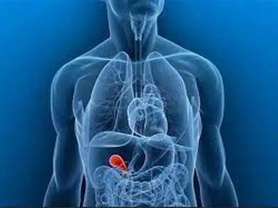 مزیت روزه داری برای بدن + فیلم