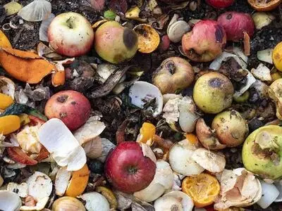 یک سوم از مواد غذایی در فرایند کشت، داشت و برداشت به ضایعات تبدیل می‌شود