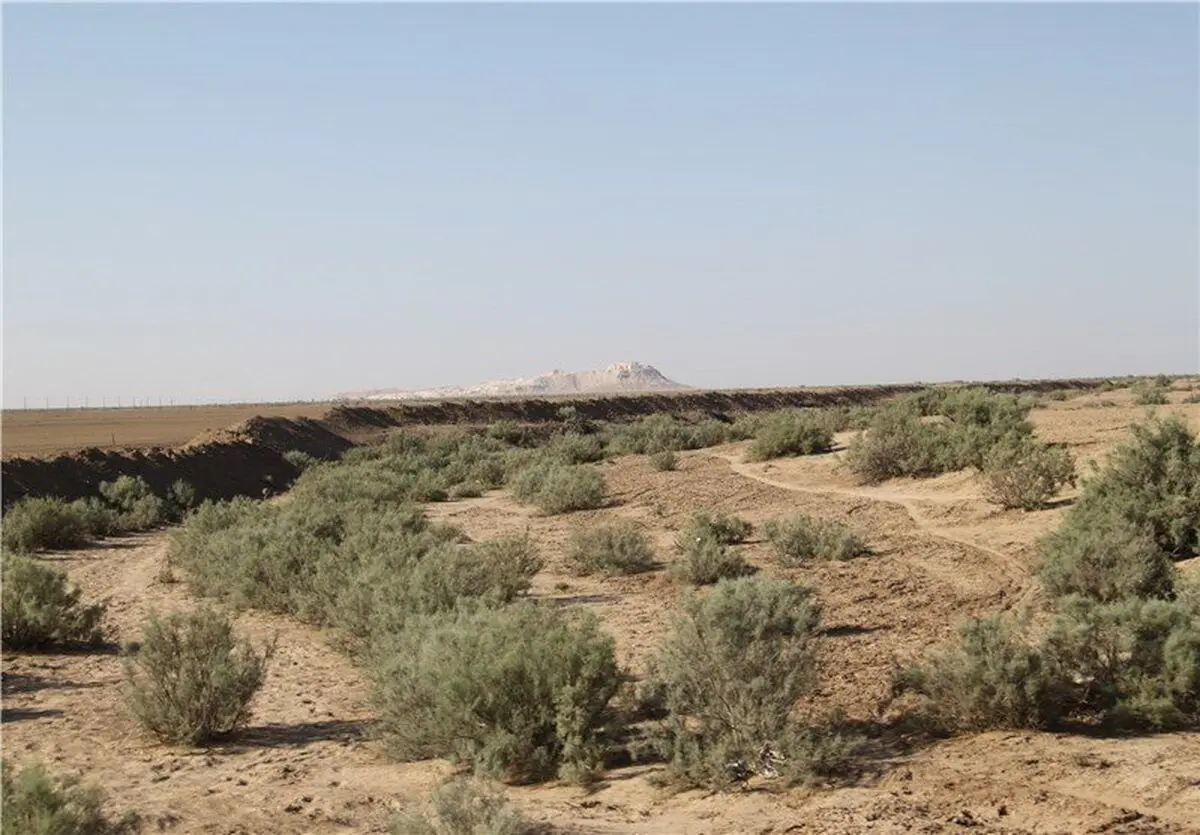 برنامه ۵ ساله برای مقابله با گرد و غبار در گلستان تدوین شد/۳۰۶ هزار هکتار از اراضی استان در معرض بیابانی شدن است