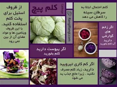 خاصیت های کلم را می دانید؟ 