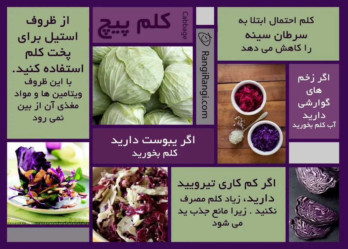 خاصیت های کلم را می دانید؟ 