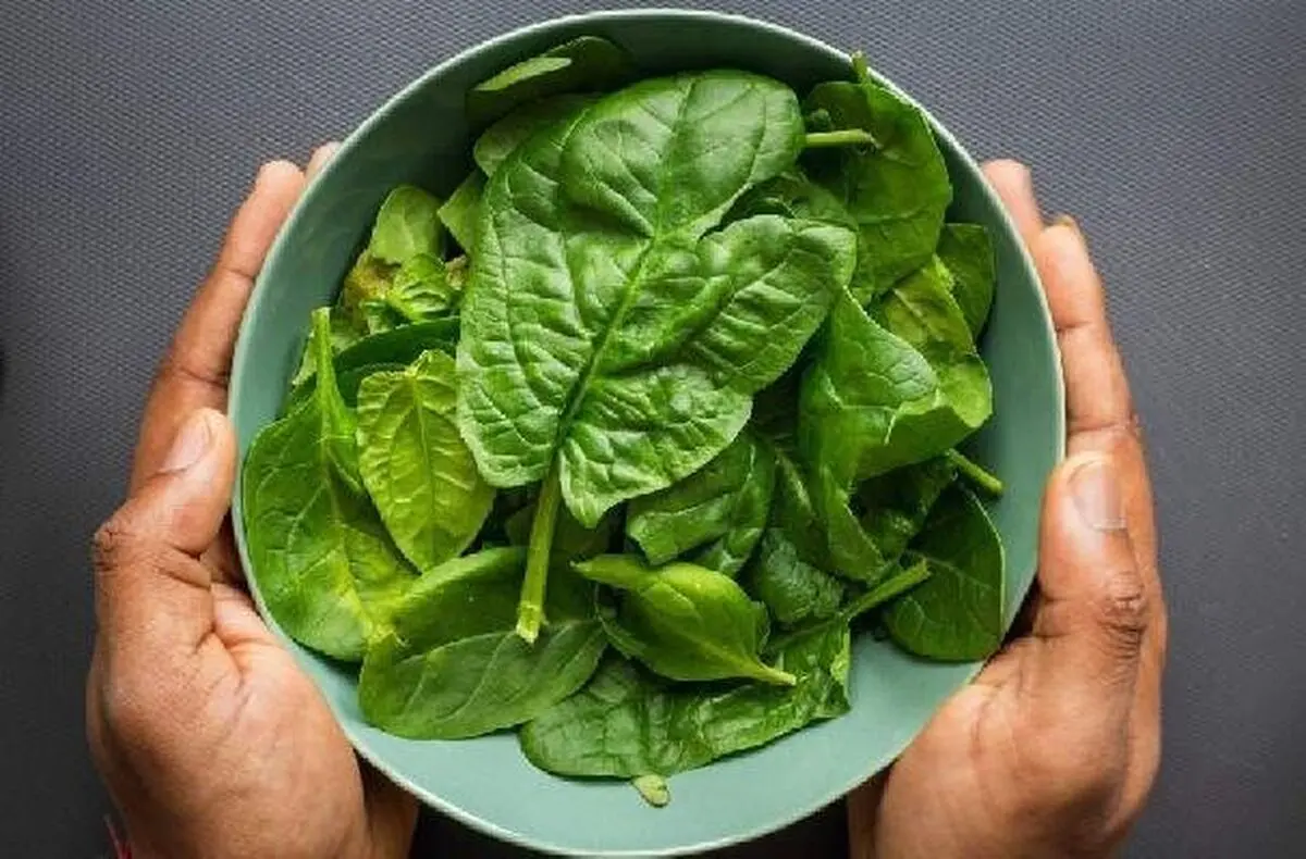 این گیاه برای کاهش وزن معجزه می‌کند