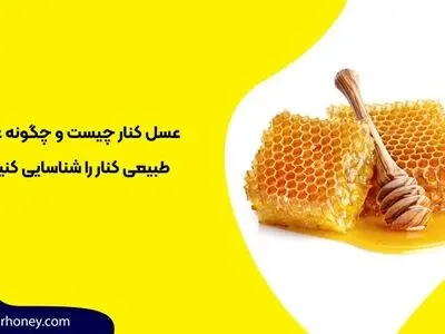 عسل کنار چیست و چگونه عسل کنار طبیعی را شناسایی کنیم