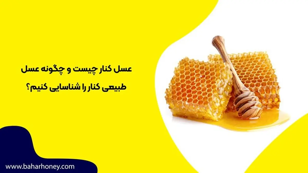 عسل کنار چیست و چگونه عسل کنار طبیعی را شناسایی کنیم