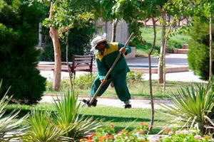 مصدومیت شدید کارگر فضای سبز شهرداری مهاباد در حادثه تصادف