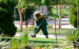 مصدومیت شدید کارگر فضای سبز شهرداری مهاباد در حادثه تصادف