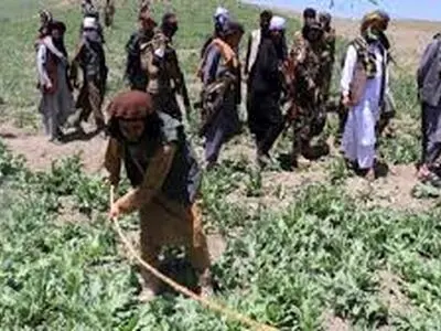 ترک اعتیاد به سبک طالبان