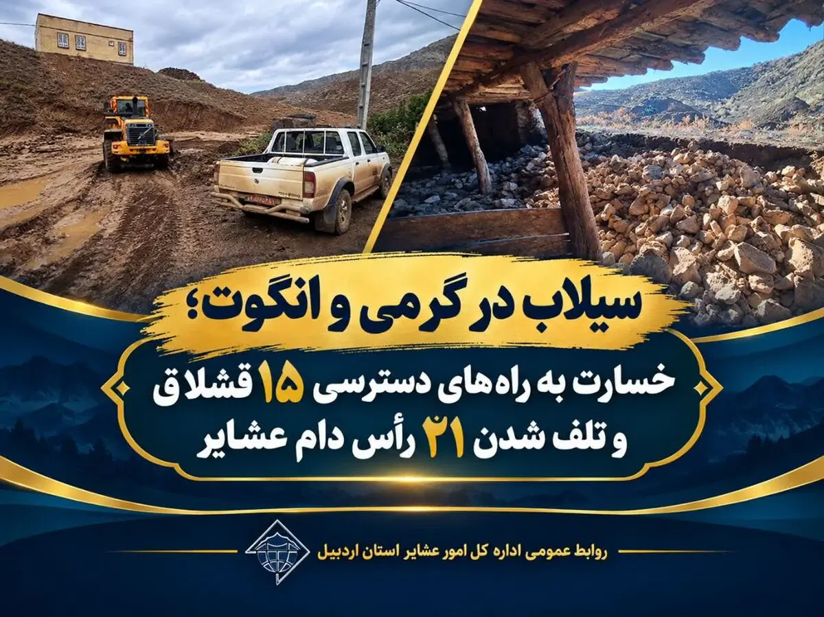 سیلاب در گرمی و انگوت؛ خسارت به راه‌های دسترسی ۱۵ قشلاق و تلف شدن ۲۱ رأس دام عشایر