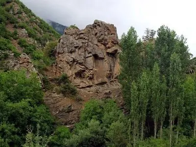 9 هکتار عرصه جنگلی مهدیشهر احیا می‌شود