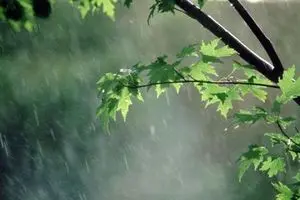 بارش‌های پراکنده باران تا اوایل هفته در گیلان