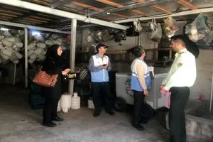 پلمب انبار غیرمجاز و توقیف ۹۰۰ لیتر آب‌آلبالو در صومعه‌سرا