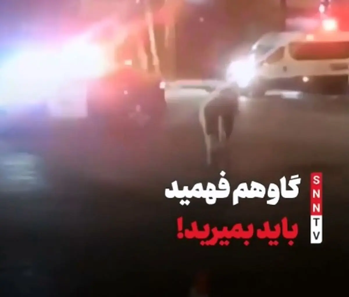 حمله یک گاو به پلیس اسرائیل + فیلم