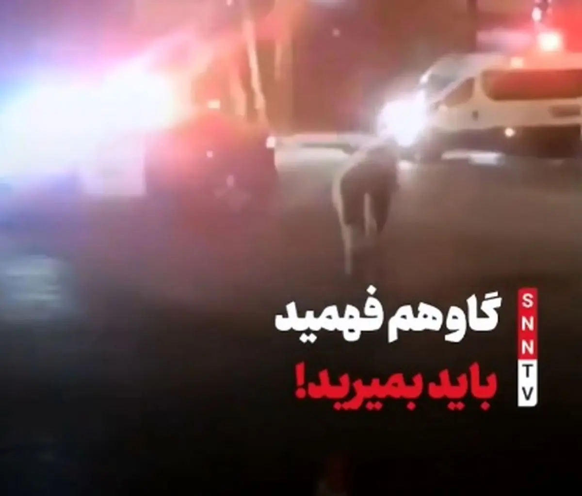 حمله یک گاو به پلیس اسرائیل + فیلم